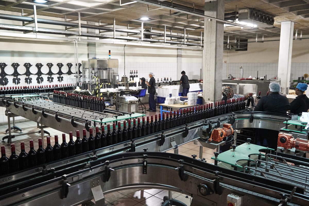 Colleagues working in the bottling plant at a wine factory