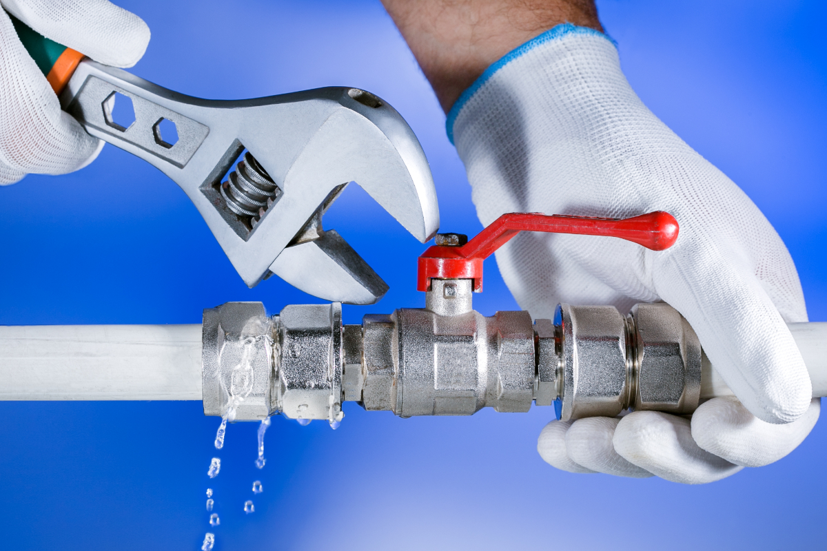 Why You Should Have a Plumbing Inspection Before Buying a Home