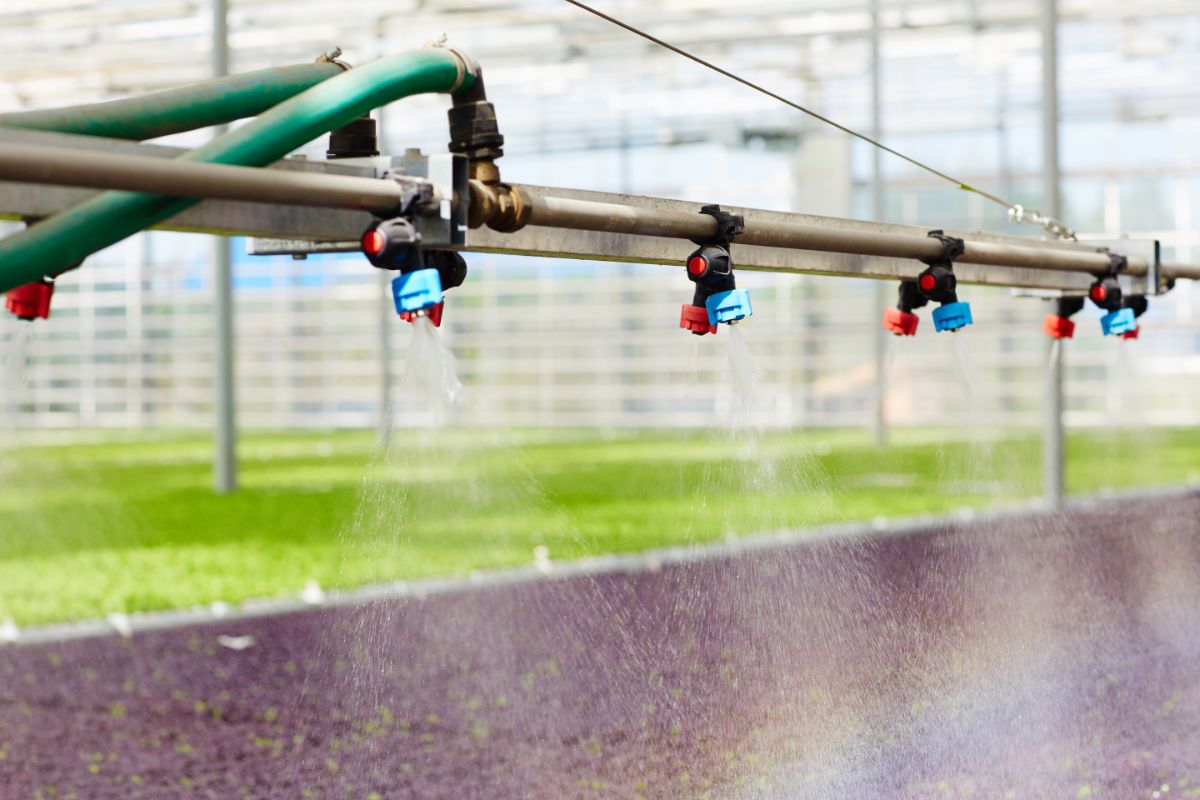 Know the Type of Irrigation System
