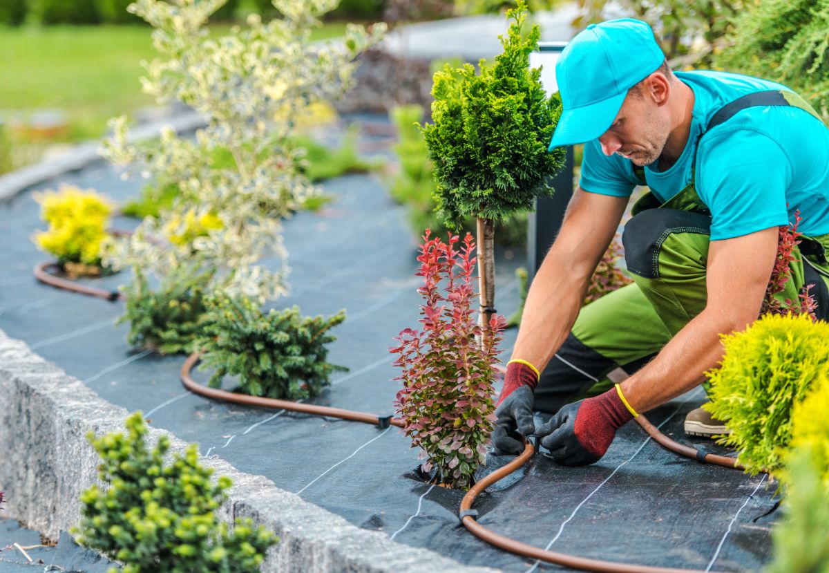 Things You Need To Know Before Cleaning and Checking an Irrigation System