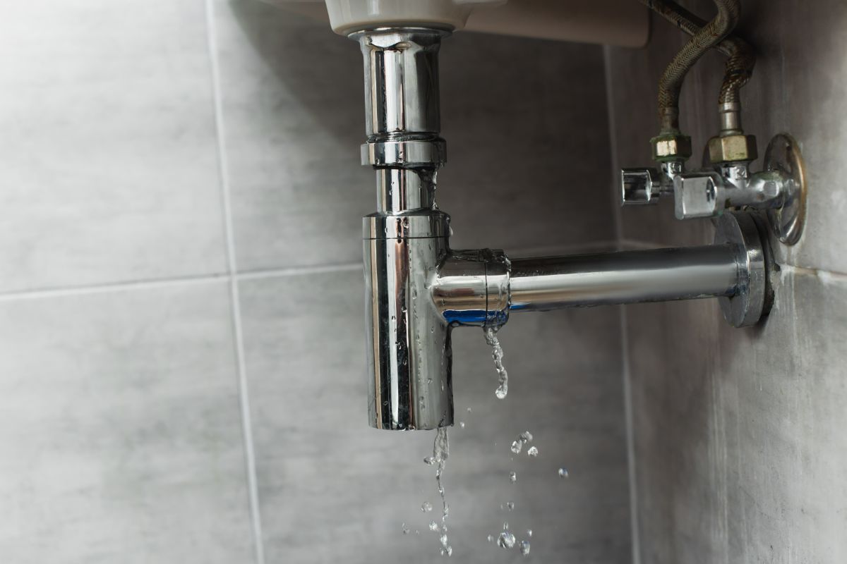 What to Do If Your Water Pipe Bursts