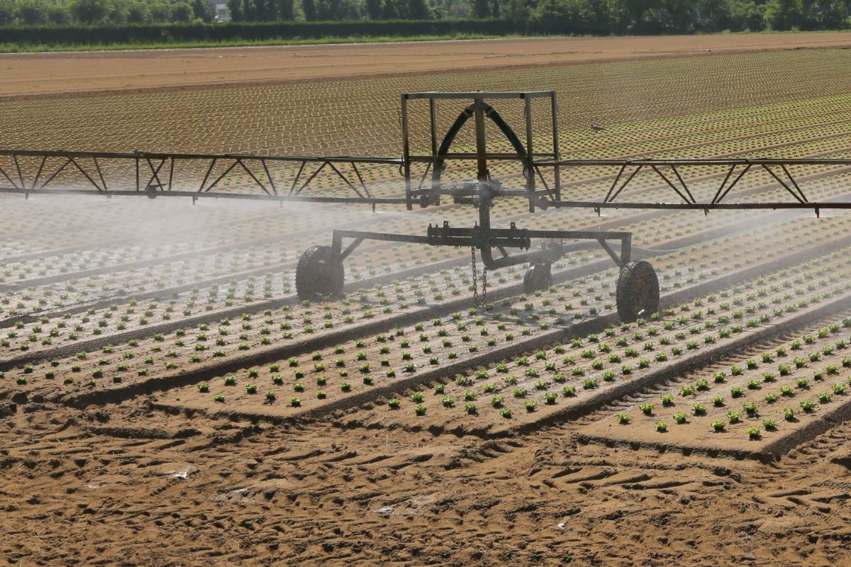 Irrigation systems